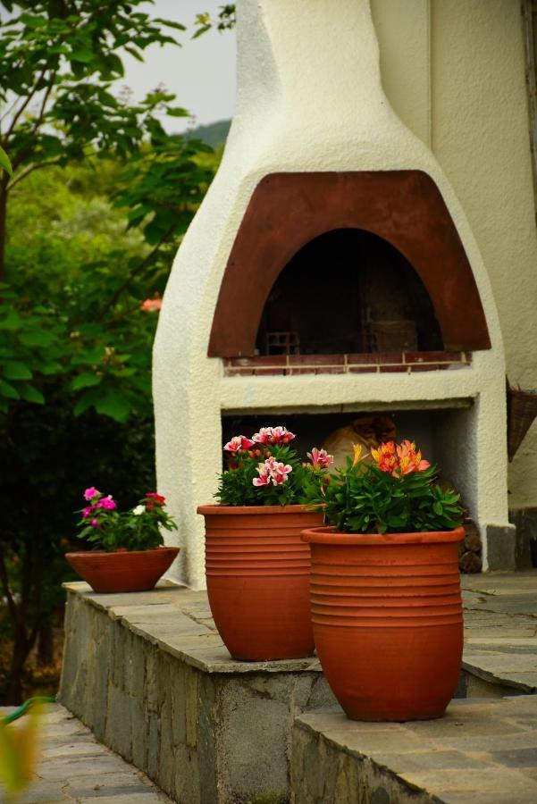 Villa Monte Kariotes Samothráki Buitenkant foto